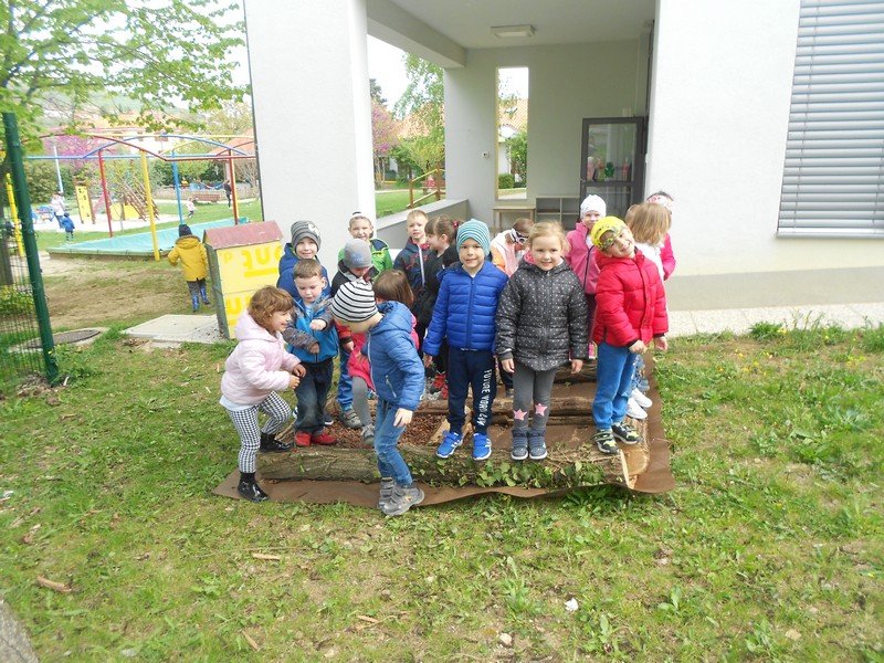 zeleni_nahrbtnik_2019_0006
