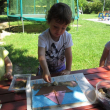 cebele_junij0004
