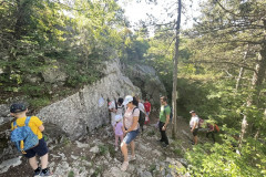 IMG_5644